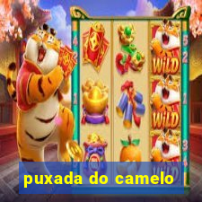 puxada do camelo